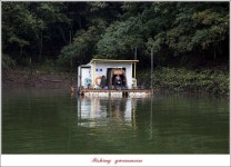 조황조행기 > 특파원조황 > 늘푸른..실리곡..한버들..노지 조황..