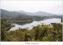 조황조행기 > 특파원조황 > 돌감 좌대 38 cm..