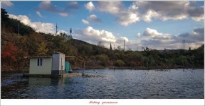 조황조행기 > 특파원조황 > 실리곡 낚시터 38 cm 및 월척 조황..