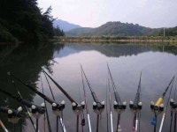 조황조행기 > 모바일간편조행 > 청도 밤실지에서