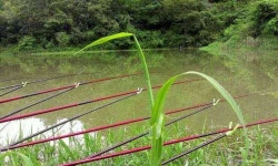 조황조행기 > 모바일간편조행 > 논산시 양촌면 ㅎ 조황조행기 > 모바일간편조행 > 논산시 양촌면 ㅎ 