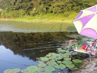 조황조행기 > 모바일간편조행 > 남산지