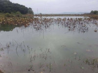 조황조행기 > 모바일간편조행 > 옥곤리 외곤제