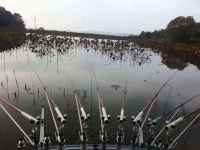 조황조행기 > 모바일간편조행 > 옥곤리 외곤제