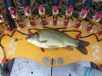 조황조행기 > 모바일간편조행 > 유곡지...드디어.,.