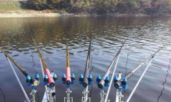 조황조행기 > 모바일간편조행 > 짬낚시ᆢ철수합니다