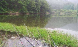 조황조행기 > 모바일간편조행 > 경산 대곡지에서