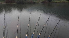 조황조행기 > 모바일간편조행 > 의성 청호가든 아래쪽에서