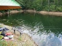 조황조행기 > 모바일간편조행 > 경산...어봉지 왔씀당 ㅋ ㅋ 조황조행기 > 모바일간편조행 > 경산...어봉지  왔씀당 ㅋ ㅋ