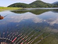 조황조행기 > 모바일간편조행 > 밀양 덕곡지 4박!