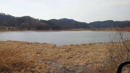 조황조행기 > 모바일간편조행 > 신전늪~장척호~새못