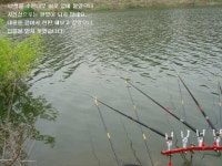 사용기강좌 > 사용기 > 만세용 2차 품평기