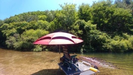 사용기강좌 > 사용기 > 수진 위드몽 파라솔~~