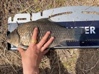 조황조행기 > 월척컵 토종붕어 챔피언십 > 독동수로 43