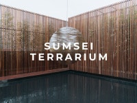 발끝으로 자연을 기억하다성수 섬세이 테라리움 - (주)원더플레이스