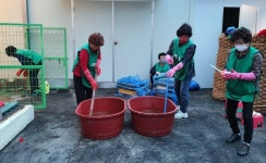 시정보도자료 - 보도자료 -시정홍보관