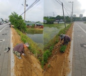 20.06.03. 중앙동체육회 정지마을 국화꽃길 조성 - 포토갤러리 상세 - 중앙동 - 읍면동안내 - 원주소개 - 원주시청