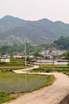 마을의모습 - 고향갤러리 - 반곡고향관 -반곡사이버고향전시관