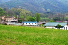 마을의모습 - 고향갤러리 - 반곡고향관 -반곡사이버고향전시관