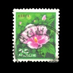 수집전문쇼핑몰 우문관 294-05 / 제3차그라비아 40원 무궁화 사용제 89.4.1. 대전선화 70%