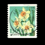 수집전문쇼핑몰 우문관 364A(07-01) / 기본료 130원시기 130원 수선화(코일) 사용제 96.1.19. 서울중앙 95%