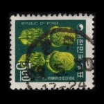 수집전문쇼핑몰 우문관 [●사은품-5만원]244(063) / 제2차국산백지보통 / 귀거리 / 69.5.30 / 광주