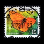 수집전문쇼핑몰 우문관 0484-47519 / 큰주홍부전나비 (10원) / 만월사용제 / 2022.11.23 / 부산연산4(연제구) /
