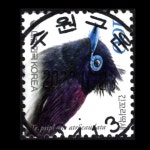 수집전문쇼핑몰 우문관 0486-16413 / 긴꼬리딱새(100원) / 만월사용제 / 2022.06.15. / 수원구운 /