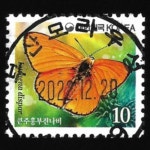 수집전문쇼핑몰 우문관 0484-46929 / 큰주홍부전나비 (10원) / 만월사용제 / 2022.12.20/ 부산모라우성 / (사상구)