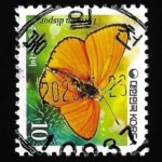 수집전문쇼핑몰 우문관 0484-10937/ 큰주홍부전나비 (10원) / 만월사용제 / 2023.4.26./ 봉일천(파주시 조리읍)/
