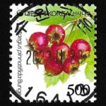 수집전문쇼핑몰 우문관 0488-16413 / 산사나무(500원) / 만월사용제 / 2022.11.23  / 수원구운 /