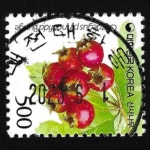 수집전문쇼핑몰 우문관 0488-34371/ 산사나무(500원) / 만월사용제 / 2023.06.01./대전대화동/