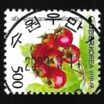 수집전문쇼핑몰 우문관 0488-16232/산사나무(500원) / 만월사용제 / 2023.6.19. /수원 우만1/