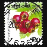 수집전문쇼핑몰 우문관 0488-16269 / 산사나무(500원) / 만월사용제 / 2022.11.23  / 수원북문 /