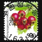 수집전문쇼핑몰 우문관 0488-16319 / 산사나무(500원) / 만월사용제 / 2022.11.23  / 수원정자동 /