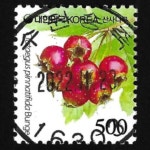 수집전문쇼핑몰 우문관 0488-16303 / 산사나무(500원) / 만월사용제 / 2022.11.23  / 수원송죽 /