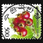 수집전문쇼핑몰 우문관 0488-16670/ 산사나무(500원) / 만월사용제 / 2023.06.14./수원곡반정/