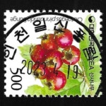 수집전문쇼핑몰 우문관 0488-21422/ 산사나무(500원) / 만월사용제 / 2023.04.19./인천일신풍림/