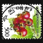 수집전문쇼핑몰 우문관 0488-16530/산사나무(500원) / 만월사용제 / 2023.6.14. /수원 매탄1/