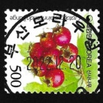 수집전문쇼핑몰 우문관 0488-46929/ 산사나무(500원) / 만월사용제 / 2022.12.20 / 부산모라우성(사상구) /