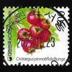 수집전문쇼핑몰 우문관 0488-16440 / 산사나무(500원) / 만월사용제 / 2022.11.23  / 수원화서 /