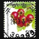 수집전문쇼핑몰 우문관 0488-39293/ 산사나무(500원) / 만월사용제 / 2023.06.23./구미형곡/