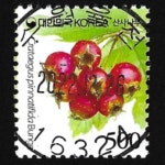 수집전문쇼핑몰 우문관 0488-16324 / 산사나무(500원) / 만월사용제 / 2022.12.26 / 수원율전 /