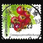 수집전문쇼핑몰 우문관 0488-16227 / 산사나무(500원) / 만월사용제 / 2022.11.23  / 수원경기대학교 /