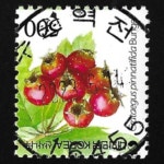 수집전문쇼핑몰 우문관 0488-16455 / 산사나무(500원) / 만월사용제 / 2022.1.24 / 수원역전 /