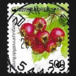 수집전문쇼핑몰 우문관 0488-54425 / 산사나무(500원) / 만월사용제 / 2023.2.8 / 김제부량 /