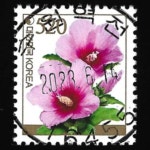 수집전문쇼핑몰 우문관 0489-16455 / 무궁화(520원) / 만월사용제 / 2022.1.24 / 수원역전 /