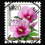 수집전문쇼핑몰 우문관 0489-12613 / 무궁화(520원) / 만월사용제 / 2022.11.18  / 북내(여주시) /