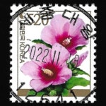 수집전문쇼핑몰 우문관 0489-12641 / 무궁화(520원) / 만월사용제 / 2022.11.18  / 세종대왕(여주시) /