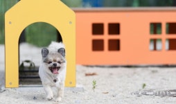 농림축산식품부, 서산시 동물보호센터 우수 기관 선정